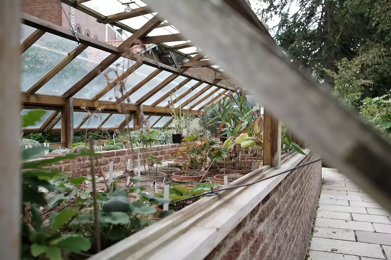 Backyards and Driveways on Victory Gardens