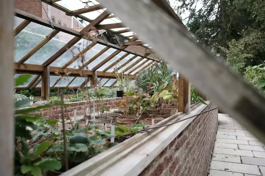 Backyards and Driveways on Victory Gardens